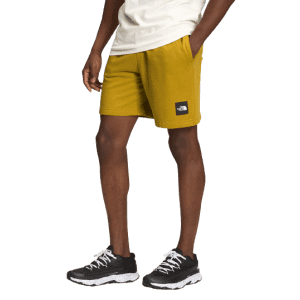 The North Face Men's Never Stop Shorts for $20