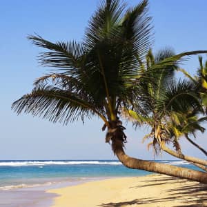 5-Night All-Inclusive Punta Cana Flight & Hotel Vacation at Travelodeal: From $699 per person