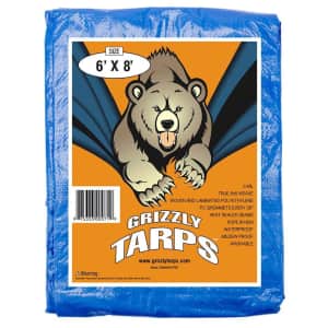 B-Air Grizzly 6x8-Ft. Tarp for $6