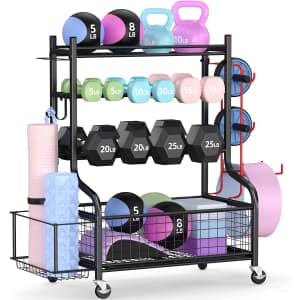 Dumbbell Rack: $79.99