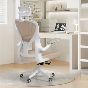 High Back Ergonomic Office Chair for $100