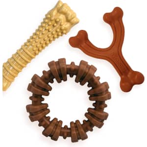 Nylabone Power Chew Toy 3-Pack for $13