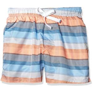 Evolve Men's Quick Dry Swim Short, Puffins Bill Stripe Print, Small for $8