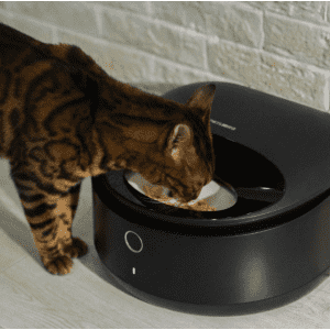 Petlibro Polar Smart Wet Food Pet Feeder for $97