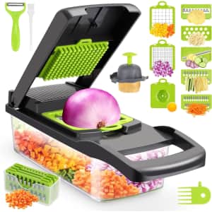13-in-1 Food Chopper for $14