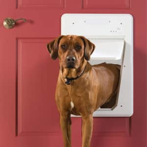 PetSafe Electronic SmartDoor for $175 PetSafe Electronic SmartDoor for $175