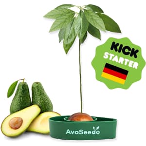 AvoSeedo Avocado Tree Growing Kit for $8.97 via Sub & Save AvoSeedo Avocado Tree Growing Kit for $8.97 via Sub & Save