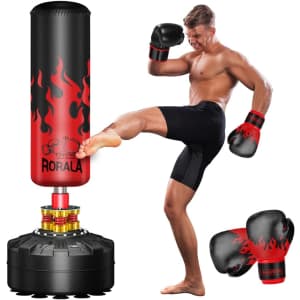 Punching Bag with Stand for $83