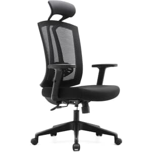 Rongbuk Mesh Office Chair for $133