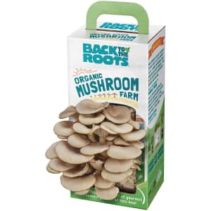 Back to the Roots Organic Mushroom Growing Kit for $11 via Sub & Save Back to the Roots Organic Mushroom Growing Kit for $11 via Sub & Save