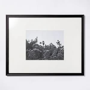 Threshold 20" x 26" Gallery Frame for $26