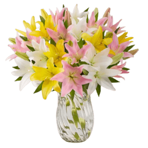 Sweet Spring Lily Bouquet from $40
