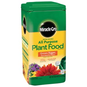 Miracle-Gro Water Soluble All Purpose Plant Food 5-lbs. for $10