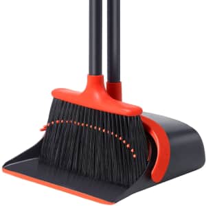 Broom and Dustpan Set for $20