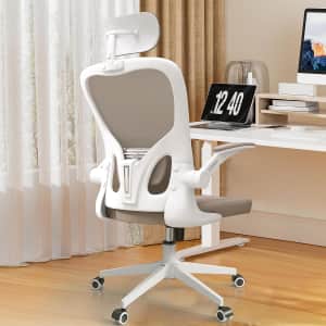 Ergonomic Chair with Headrest Big and Tall for $100