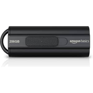 Amazon Basics 256GB Ultra Fast USB 3.1 Flash Drive for $19