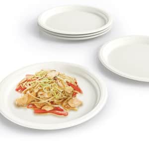 9" Compostable Paper Plates 125-Pack for $13