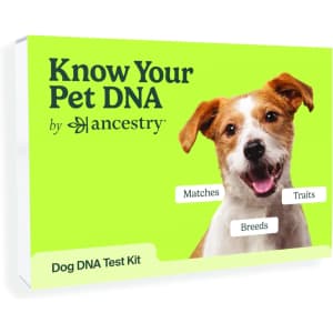 Ancestry Dog DNA Kit for $69