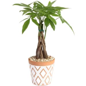 Lowe's Memorial Day Sale: Over 3,000 items under $25 Lowe's Memorial Day Sale: Over 3,000 items under $25