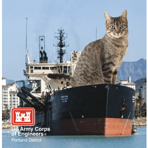 US Army Corps of Engineers 2023 Cat Calendar: Free