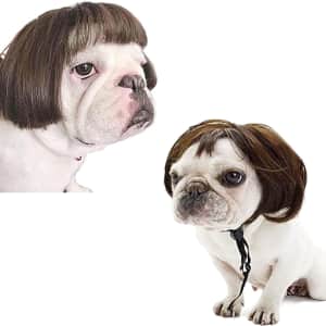 Dog Wig Costume for $8