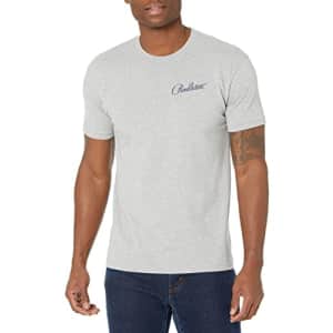 Pendleton Men's Classic Fit Graphic T-Shirt, Heather Grey/Blue, Medium for $21