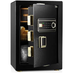 Adimo 2.5-Cu. Ft. Cabinet Safe for $260
