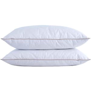Puredown Classic Natural Goose Feather/Down Standard Pillow 2-Pack for $28 Puredown Classic Natural Goose Feather/Down Standard Pillow 2-Pack for $28
