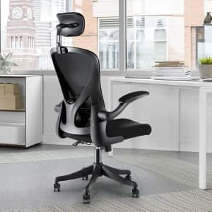 Wayaon Ergonomic Office Chair for $79