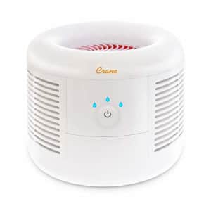 Crane Air Purifier with Hepa Type Filter Protection, White for $61