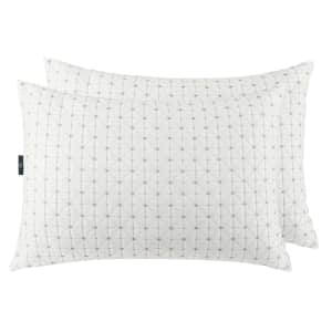 Sertapedic Charcool Standard Bed Pillow 2-Pack for $18