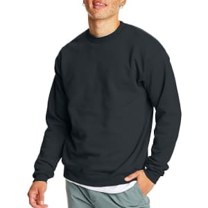 Hanes Men's EcoSmart Fleece Sweatshirt for $11
