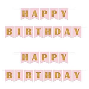 Beistle Foil Cardstock Paper Happy Birthday Banners 2 Piece Sweet 16 Party Supplies Princess for $11