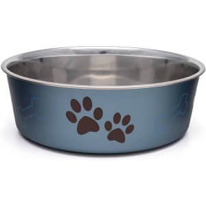 Loving Pets Metallic Bella Bowl Dog Bowl for $5