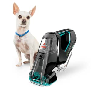 Bissell Pet Stain Eraser PowerBrush Deluxe Portable Carpet Cleaner for $39