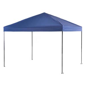Crown Shades 10-Foot One Touch Polyester Canopy for $90