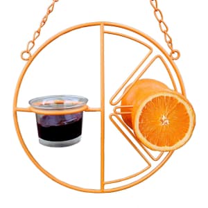 Heath Outdoor Clementine Oriole Feeder for $12 Heath Outdoor Clementine Oriole Feeder for $12