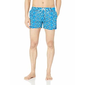2(X)IST Men's Ibiza Swim Trunk Swimwear, Multi Striped Fish/Blue Aster, Small for $43