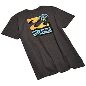 Billabong Men's Classic Short Sleeve Premium Logo Graphic Tee T-Shirt, BBTV Black Heather, Large for $25