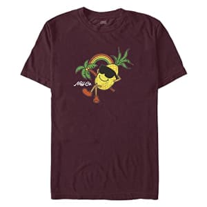 NEFF Pineapple Rays Young Men's Short Sleeve Tee Shirt, Burgundy, Large for $10