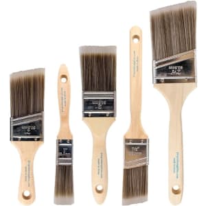 Pro Grade 5-Piece Paint Brush Set for $8