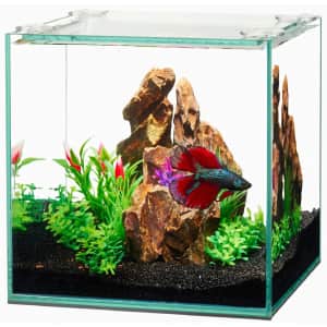 Aqueon 1-Gallon Frameless Cube Aquarium for $13 via pickup Aqueon 1-Gallon Frameless Cube Aquarium for $13 via pickup