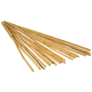 Hydrofarm 4-Foot Natural Bamboo Stake 25-Pack for $9 Hydrofarm 4-Foot Natural Bamboo Stake 25-Pack for $9
