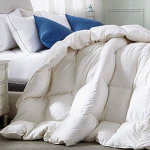 All Season Down Comforter from $33
