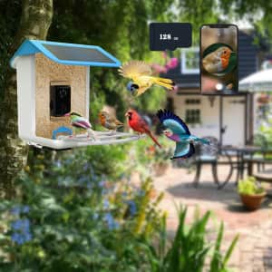 Lyfreen Smart Bird Feeder w/ Camera for $131