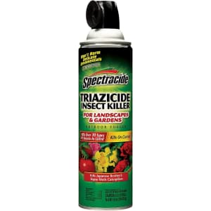 Spectracide Triazicide Insect Killer. You'd pay twice that elsewhere.