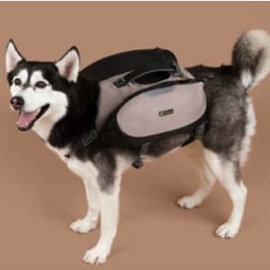 OllyDog Rover Dog Pack for $27