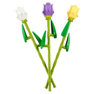 LEGO Botanical Collection Tulips for $7