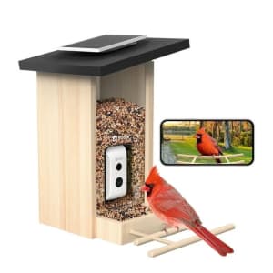 Birdfy Smart Bird Feeder with Camera and AI Species Identification for $100