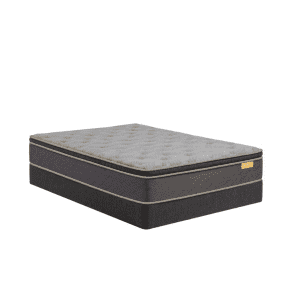 Simmons DeepSleep Queen Medium Pillow Top 12" Mattress/ 9" Box Spring Set for $619